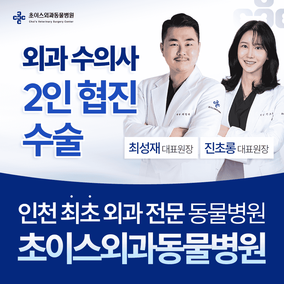 초이스외과동물병원 외과 경쟁력 소개 이미지